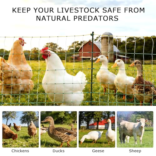 Electric Fence Netting, 47.2" H x 164'L Electric Chicken Fence, Portable Chicken Fence with Double Spiked Fiberglass Posts for Chickens, Ducks,Turkeys, Sheep, Geese in Yard, Farms,Backyards, Garden