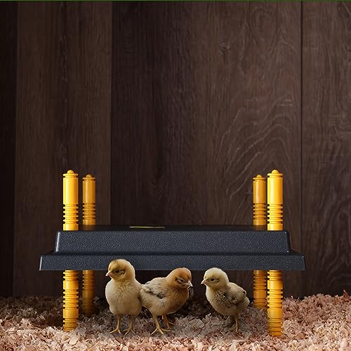 Rural365 Chick Heating Plate Brooder Plate - 12 Inch Brooder Heat Plate for Chicks and Ducklings with Adjustable Height - size: 12 x 12 Inch