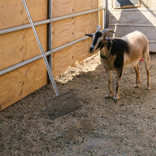 minkissy Long Handle Metal Chicken Manure Trowel and Litter Tray Scoop for Farm Coop Cleaning, Poultry Waste Sifting Shovel Suitable for Livestock and Gardening