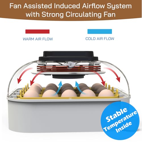 MATICOOPX 20 Egg Incubator with Humidity Display, Egg Candler, Automatic Egg Turner, for Hatching Chickens