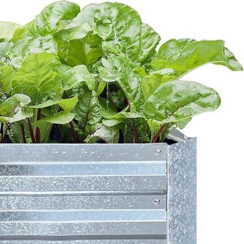Galvanized Raised Garden Beds 2-Pack (8x4x1ft Each) – Flat Panel Design with 4 Support Bars, Heavy-Duty Metal Planter Box for Vegetables, Herbs, Flowers, Budget-Friendly Steel Garden Kit - size: 8x4x1ft (2 pack)
