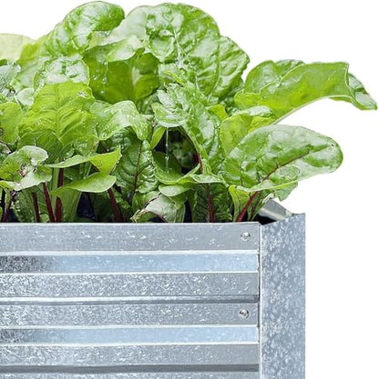 Galvanized Raised Garden Beds 2-Pack (8x4x1ft Each) – Flat Panel Design with 4 Support Bars, Heavy-Duty Metal Planter Box for Vegetables, Herbs, Flowers, Budget-Friendly Steel Garden Kit - size: 8x4x1ft (2 pack)
