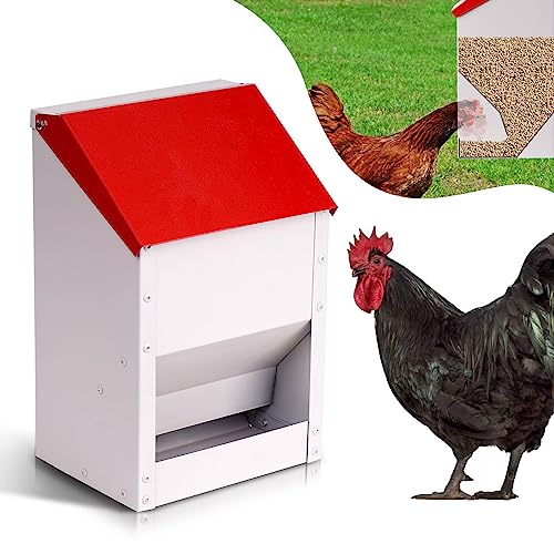 Automatic Metal Chicken Feeder Galvanized Poultry Feeder with Lid Outdoor Wall Mount Chicken Food Dispenser Gravity Fed Chicken Feeder Weatherproof No Waste Quail Duck Feeder (10LBS)