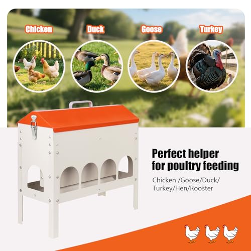15Lb Automatic Chicken Feeder, Metal Gravity Chicken Feeder | Poultry Feeder Trough for Chickens Turkeys Quails, Chicken Coop Feeder, with 10 Feeding Openings Adjustable Legs