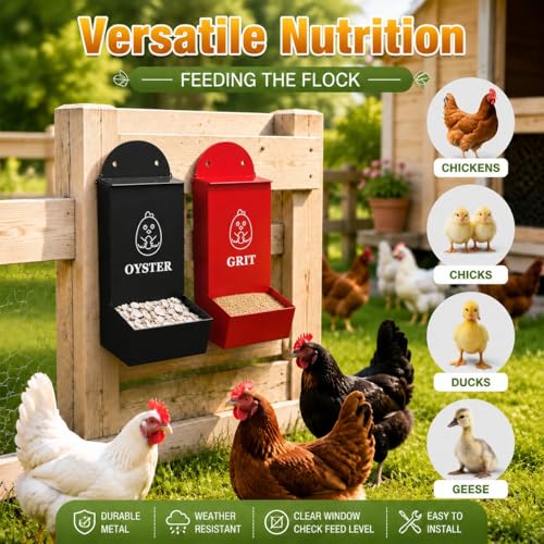 Chicken Feeder 2 Pack, Metal Wall-Mounted Automatic Feeder for Oyster Shell & Grit, No-Spill Heavy-Duty Chicken Coop Accessory, Feed Dispenser for Backyard Poultry