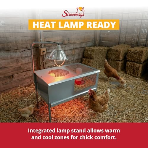 Stromberg's Stand Up Chick Brooder, Elevated Chicken Brooder Pen with Lamp Stand, Removable Tray, Wire Floor, Ventilated Steel Design, Raised Frame for Easy Cleaning and Chick Care