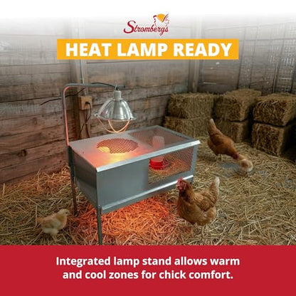 Stromberg's Stand Up Chick Brooder, Elevated Chicken Brooder Pen with Lamp Stand, Removable Tray, Wire Floor, Ventilated Steel Design, Raised Frame for Easy Cleaning and Chick Care