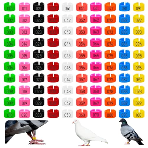 100PCS 8mm Chicken Leg Bands, Plastic Chicken Leg Rings with 8 Colors, Numbered Quail Bird Leg Bands Identification, Ankle Ring for Bantam Finch Dove Lovebird Coturnix Quail Duck Small Birds Supplies