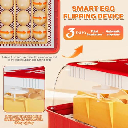 Incubators for Hatching Eggs 15-35 Eggs Incubator with Automatic Egg Turning and ℉Temperature Display LED Candler Poultry Incubator for Hatching Chicken Duck and Quail Incubator (Red)