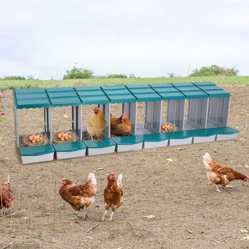 Chicken Nesting Boxes, 8 Compartment Nesting Boxes for Laying Eggs, Roll Away Nesting Box Egg Collection Tray, Wall Mount Poultry Roll Away Chicken Laying Boxes (Green) - color: 8 Compartment Nesting Boxes (Green)