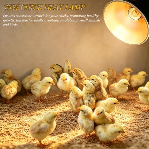 Chick Starter Kit with 75w Heat Lamp, 5-in-1 Baby Chicken Brooder Supplies, Feeder & Waterer Set, Perch with Mirror for Coop Brooder Poultry Duck Quail Bird