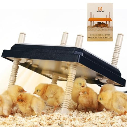 Brooder Heater for Chicks: Chick Brooder Heating Plate with Easy- Cleaning Plate Poultry Coop Heater Chicks Warmer 10" x 10" for 15 Chicks Adjustable Height Brooding Heater 15 Watts - color: Black-10x10