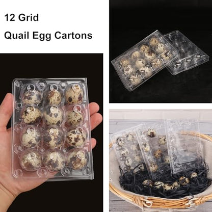 220 Pack Quail Egg Cartons, Clear Plastic Quail Egg Trays, Holds up to 12 Quail Eggs Securely - Your Ultimate Small Eggs Carton Holders for Bulk Storage and Display - size: 220 Pack Quail Egg Cartons 12 Grids