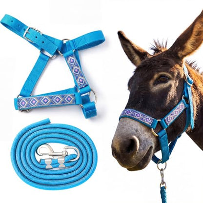 1 Set Miniature Donkey Halter with Lead Ropes, Cute and Stylish Adjustable Nylon Head Collar Set for Miniature Donkeys (Lake Blue) - color: Lake Blue