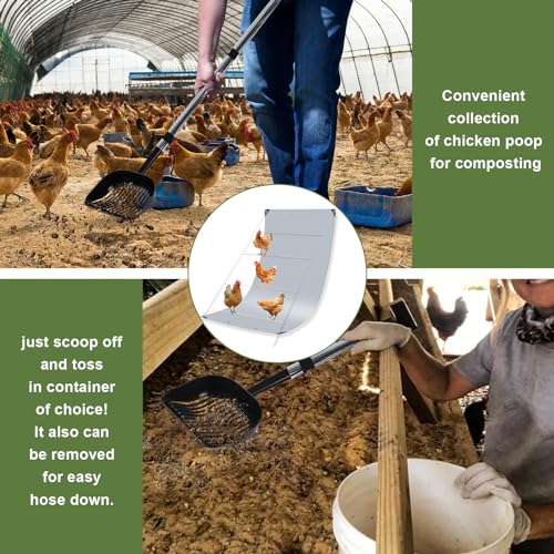 Chicken Coop Poop Hammock Waterproof and UV with 8pcs Ball Bungees Cords, 6.5 * 4 FT Poop Deck for Chicken Roosting Perch to Catch the Chicken Poop, Chicken Coop Tarp for Poultry（Not Include Perch