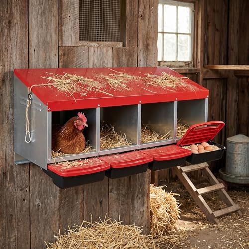 Metal Chicken Nesting Box - Heavy Duty Roll Away Nesting Boxes for Chickens Coop with Easy-Collect Tray & Lid, 4 Hole Galvanized Steel Egg Laying Boxes for Hens Ducks, Wall Mount or Freestanding - color: Red, size: 4 Holes