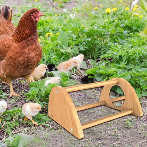Chick Perch - Mini Wood Roosting Bar with Mirror for Chickens, Interactive Rooster Training Toy and Chicken Play Accessory for Coop, Encouraging Exercise, Balance, Socialization, and Engagement