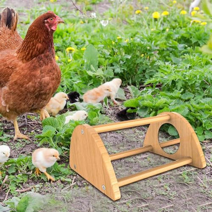 Chick Perch - Mini Wood Roosting Bar with Mirror for Chickens, Interactive Rooster Training Toy and Chicken Play Accessory for Coop, Encouraging Exercise, Balance, Socialization, and Engagement