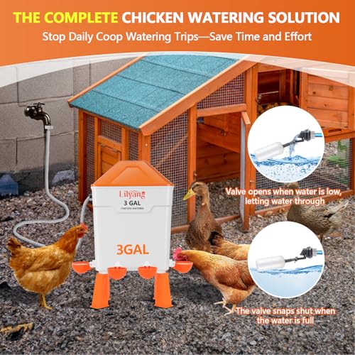 Lilyang Automatic Chicken Waterer & Feeder 3 Gallon, Auto-Refill Chicken Waterer with Float Valve, Anti-Spill Feeder & Leak-Proof Cups, End Daily Refilling & Mess, Standing or Hanging Use - color: Bright Orange
