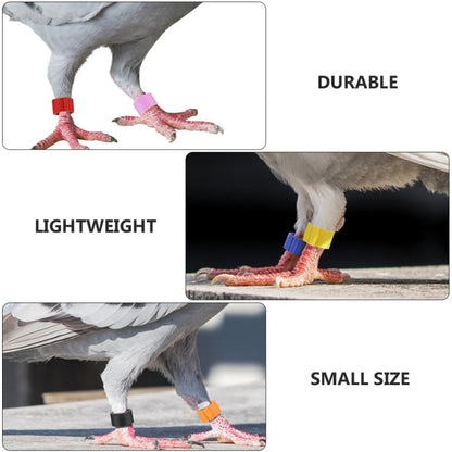 150pcs 8mm Pigeon Ring Identification Band Non-deformable Plastic Foot Ring for Birds Leg Bands Chicken