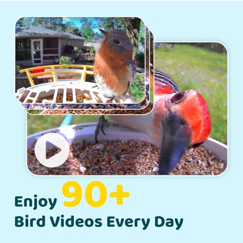 NETVUE by Birdfy Smart Bird Feeder with Camera – AI Identifies Birds Species 2MP Night Vision & App Alerts, 2.4Ghz Wi-Fi Connect IP65 Weatherproof Bird Camera-Gift for Backyard BirdWatchers, Yellow - color: Yellow, style: AI Solar
