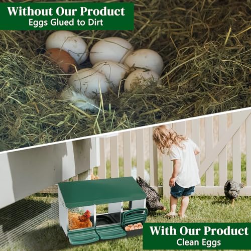 VINGLI Chicken Nesting Box, 3-Compartment Nesting Boxes for Hens Roll-Out with Plastic Baskets, Chicken Coop Laying Box (Green) - color: Green, size: 3 Compartment