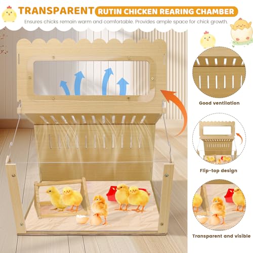 Chicken Brooder Box, Brooder Box for Chicks, Wooden Quail Cage for Hamsters, Ducklings, Hedgehogs and Lizards, Skylight Design Chick Coop, Baby Chicken Supplies (Only Box) (Transparent)