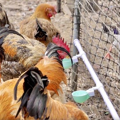 4PC Chicken Water Cups with PVC Tee Fittings for 1/2" Pipe, Automatic Chicken Watering System, Anti-Leak, Holds 50% More Water, Suitable for Chicks, Chicken, Duck, Quail, Birds, Turkey