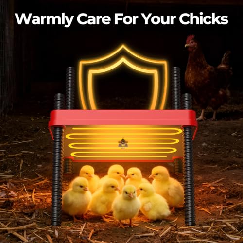 Chick Brooder Heating Plate for Winter, Chick Heating Plate with Thermal Protector, Adjustable Temp & Height, Energy Efficient Heater, 10"x10" for 10-12 Chicks