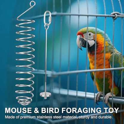 2pcs Rat Enrichment Toys, Premium Stainless Steel Bird Treat Skewer Food Holder Hanging Slow Feeder for Fruits Vegetables Ideal Cage Accessories Mouse & Bird Rodent Foraging Puzzle Toy(Silver)