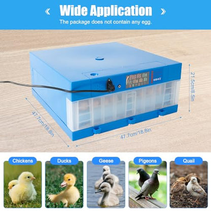 48 Egg Incubator 2-in-1 Incubation & Hatching, Incubator with Automatic Egg Turning Humidity Control, Precise Temperature, Digital Display, AC110V or DC12V, for Chicken, Quail, Duck Eggs