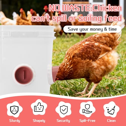DIY Chicken Feeders 4 Ports Pink No Waste | Automatic Rain Proof, Poultry Feeder Kit, Includes 1 Hole Saw, for Buckets Barrels Bins Troughs - color: Pink