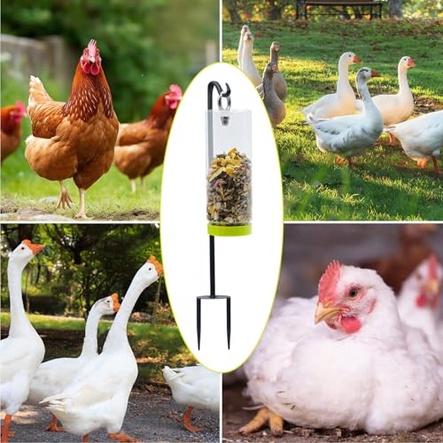 Chicken Toys for Coop, Transparent Plastic Swing Treat Dispenser with Metal Ground Stake Pole, Chicken Enrichment, Enrichment Toys for Hen, Duck, Goose and Other Poultry