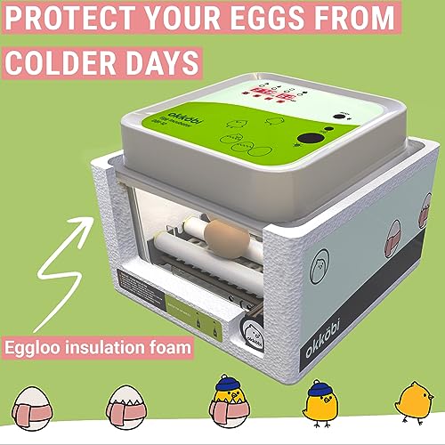 OBI-12 Egg Incubator for Hatching Chickens, Ducks & Other Birds + New 2024 + Automatic Egg Turner + Temperature Control + Humidity Display + Integrated Egg Candler + 5 Year Assurance