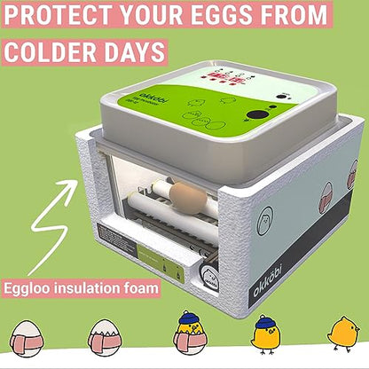 OBI-12 Egg Incubator for Hatching Chickens, Ducks & Other Birds + New 2024 + Automatic Egg Turner + Temperature Control + Humidity Display + Integrated Egg Candler + 5 Year Assurance
