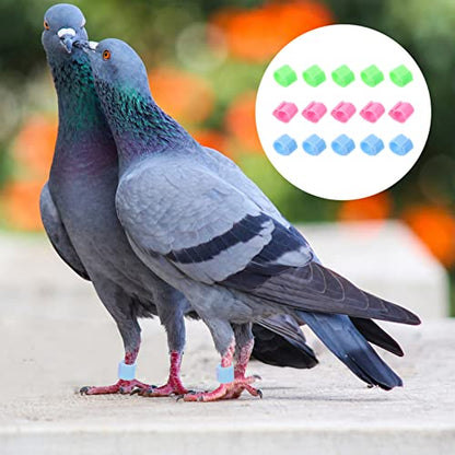 20pcs Colorful Poultry Leg Bands for Homing Pigeons Foot for Easy Identification of Chickens and Birds Lightweight and Sturdy Design