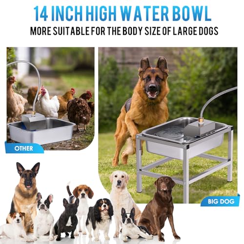 3Gal Automatic Dog Water Bowl Dispenser for Large Dogs Outdoor Elevated Dog Water Bowl with Stand, Stainless Steel Pet Waterer with Float Valve for Large Breed Goat Livestock