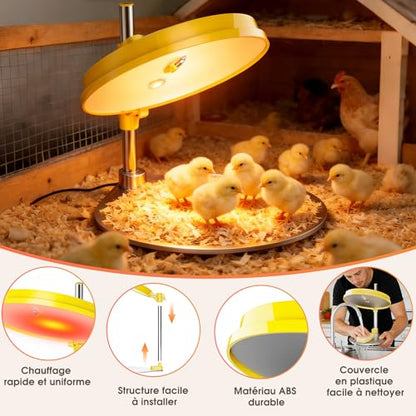 IVJ Chick Brooder Heating Plate with LED Light, 45W Adjustable Temperature Brooder Plate for 15-20 Baby Chicks, Digital Display Heating Plate for Chicks