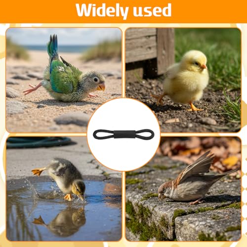 100 Pcs Baby Chicken Splay Leg Hobble Braces, Adjustable Poultry Leg Bands for 1-3 Days Newly Hatched Chicks, Quails, Ducks, Practical Spraddle Legs Repair Support Straps for Newborn Poultry (Black)