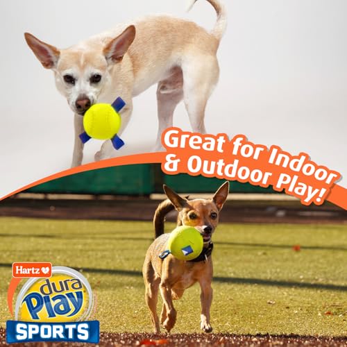 Hartz Dura Play Sports Soccer Dog Toy, Bacon Scented Squeaky Latex Yellow & Blue Toy, 3 Count - size: 3 Count, style: Soccer Ball