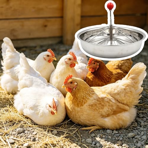 Round Stainless Steel Chick Feeder, Small Multi-Compartment Pig Feeder, Outdoor/Indoor Metal Water Trough for Barn, Pasture, Homestead(36 cm/14.2") - size: 36 cm/14.2"