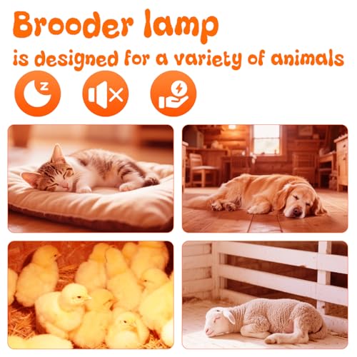 Large Chicken Coop Heat Lamp with 250w Infrared Heat Bulb, Adjust 2 Mode Temperature&Hanging Height,with Aluminum Reflector for Coop Brooder,Cat,Puppy,Lamb