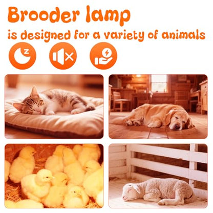 Large Chicken Coop Heat Lamp with 250w Infrared Heat Bulb, Adjust 2 Mode Temperature&Hanging Height,with Aluminum Reflector for Coop Brooder,Cat,Puppy,Lamb