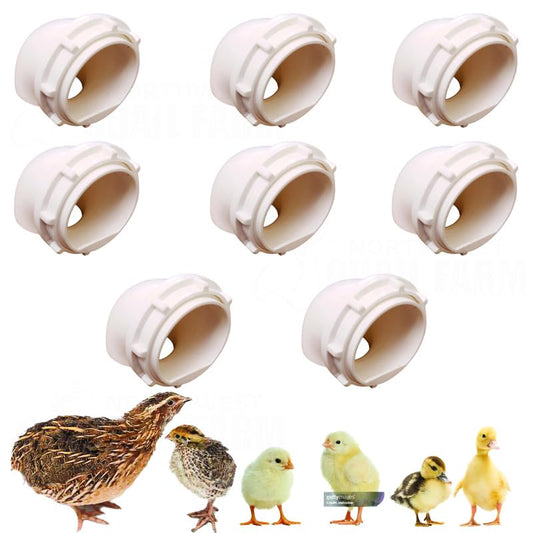 Generic Quail & Chick Port Feeder by NWQuailFarm NO Waste Feed Saver for DIY Bucket Pail Bin Container Coturnix (8 Pack), White