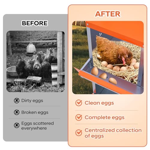 Removable Tray & Ventilated - Metal Chicken Nesting Box for Small Animals - 10 Compartments, Wall Mountable, Easy Clean, Secure Egg Collection - Red, 10 Compartments ZW - color: Orange | 10 Compartment+legs