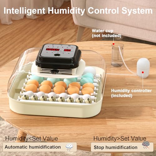 CoInceptus 35 Eggs Incubators for Hatching Eggs,Egg Incubator with Automatic Egg Turning and Humidity Control,Chicken Egg Incubator with Egg Candler, Incubator for Chicken, Duck, Goose, Pigeon, Quail