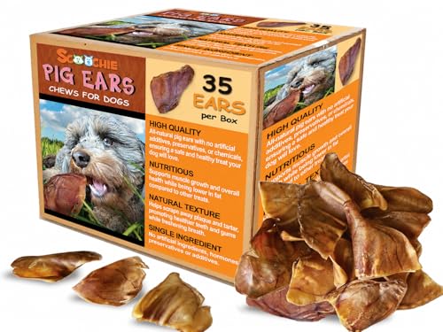 Scoochie Pet Brazilian Pig Ears - All-Natural, 35 Pack Pig Ears for Dogs - size: 1 Count (Pack of 35)