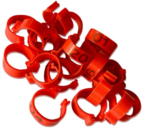 Chicken Leg Rings - 20 Numbered Tag Markers for Adult Birds | 5/8” to 3/4” Legs | Clip On Poultry Ankle Bands for Gamefowl, Ducks, Guineas | Colored ID Legband for Breeding Marking, & Banding | Fowls - color: Red, size: LARGE