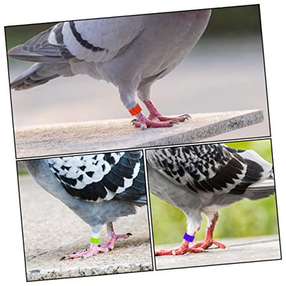 300pcs Dove Foot Ring Chicken Leg Bands Resistant to Cold Heat Leg Bands for Birds