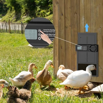Solar Powered Chicken Coop Door, Intelligent Timed Automatic Anti-Pinch Chicken Cage Door, Light Sensor and Remote Control, Weatherproof Poultry Door
